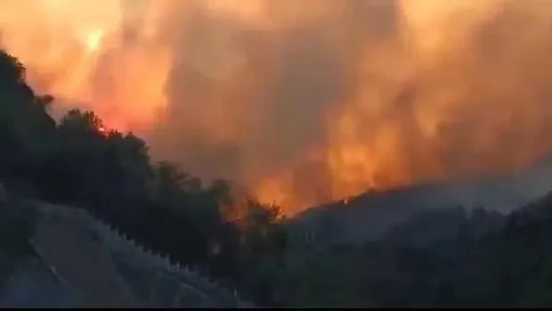 山火SOS，“十八般武艺”的TA们请求出战