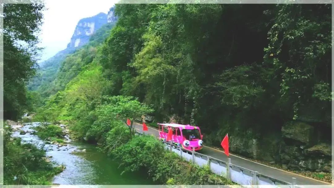 永利皇宫官网观光车“金鱼宝宝”，为三峡大瀑布打赢“景区升级战”！