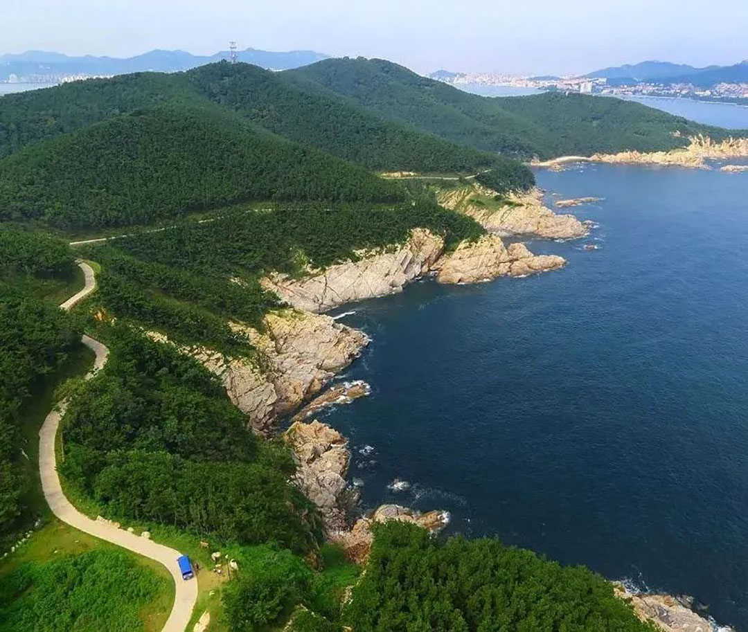 五大热门景区真实运营揭秘，看看客户为何选择永利皇宫官网观光车？