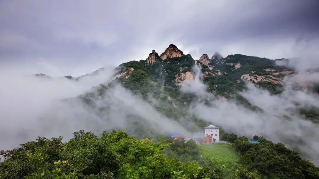 五大热门景区真实运营揭秘，看看客户为何选择永利皇宫官网观光车？
