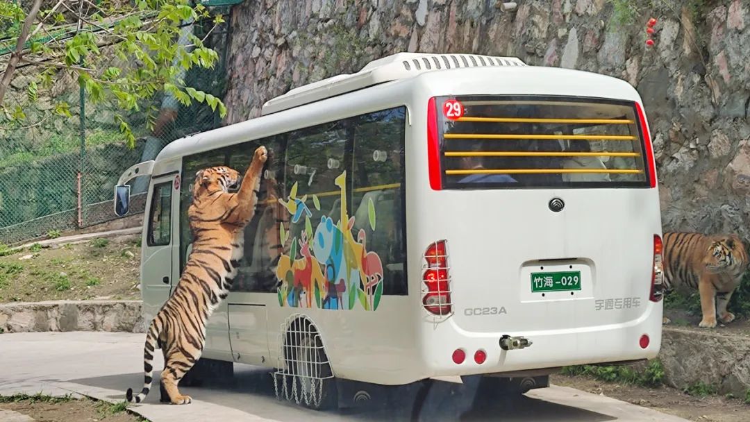 2024年“五一”假期旅游数据出炉，旅游市场呈现新趋势！