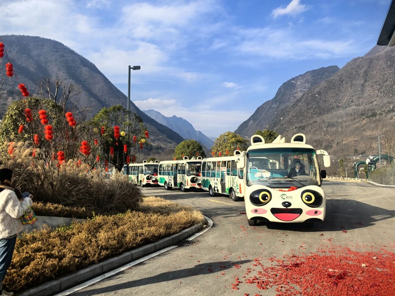 2025年景区交通该往哪儿发力？永利皇宫官网观光车助力打造景区交通运营新“范式”